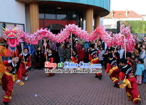 Supreme Business Opening Promotion and Celebration Luminous Phoenix Tail Dragon Dance Costume