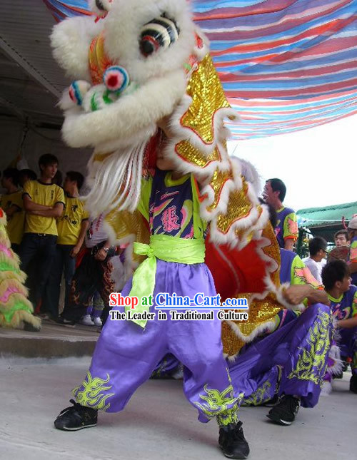 Happy Chinese New Year One Person Lion Dance Costume