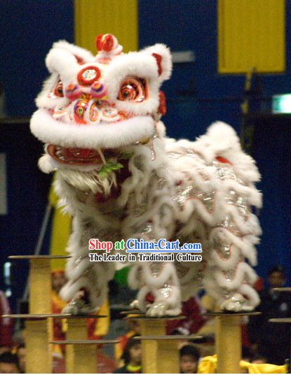 Adorable White Wool Lion Dance Head and Costume Complete Set