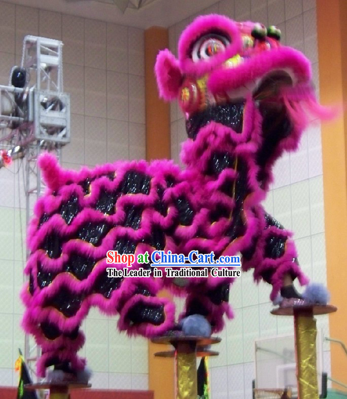 Supreme Grand Opening Celebration Chinese FUT SAN Lion Dance Equipment Set