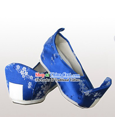 Traditional Chinese Guzhuang Shoes