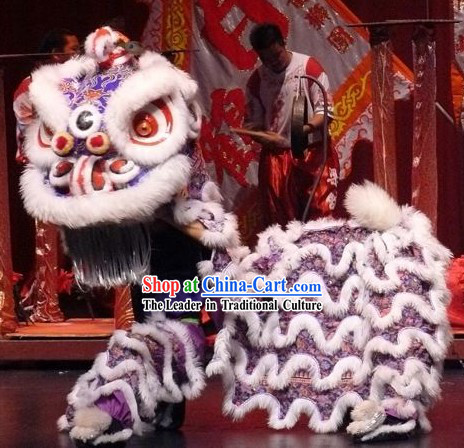 Great Parade and Festival Celebrations Lion Dance Costume Complete Set