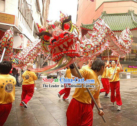Southern Luminous Dragon Dance Costume for 9-10 People