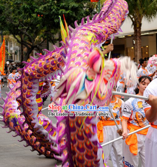 Purple CNY Dragon Dance Costume for 9-10 Persons