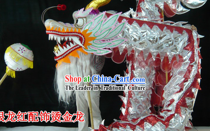 Standard Competition and Parade Silver Dragon Dance Costume for 9-10 Dancers