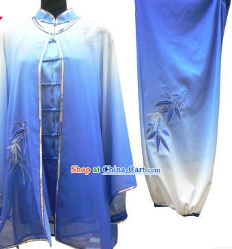 Color Transition Tai Chi Martial Arts Outfits and Cape for Women