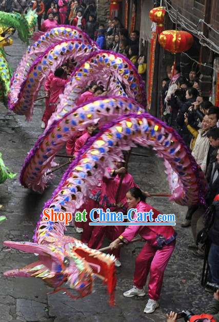 Chinese New Year Shinning Dragon Costume for Adults
