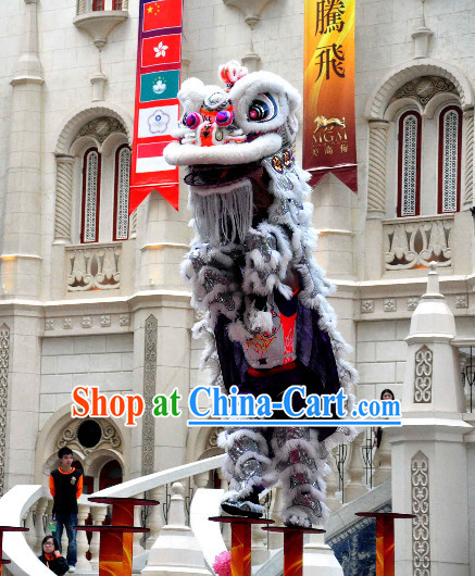 Asian Chinese Lion Mascot