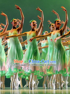 Group Women Ballet Costume Dance Costumes Dancewear Dance Supply Free Custom Tailored Service