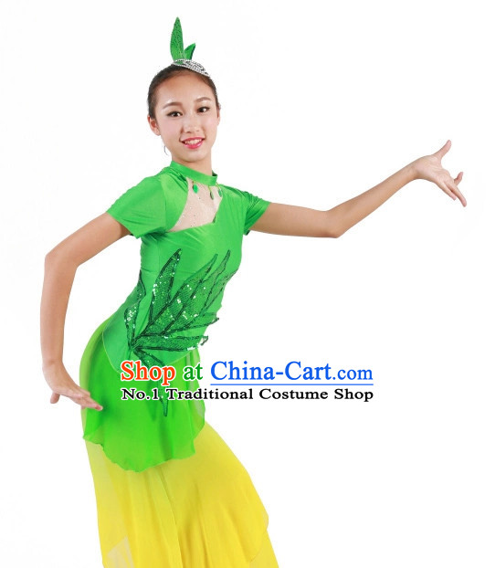 Chinese costume costumes costume carnival costumes Chinese Dance Costumes