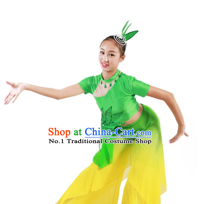 Chinese costume costumes costume carnival costumes Chinese Dance Costumes