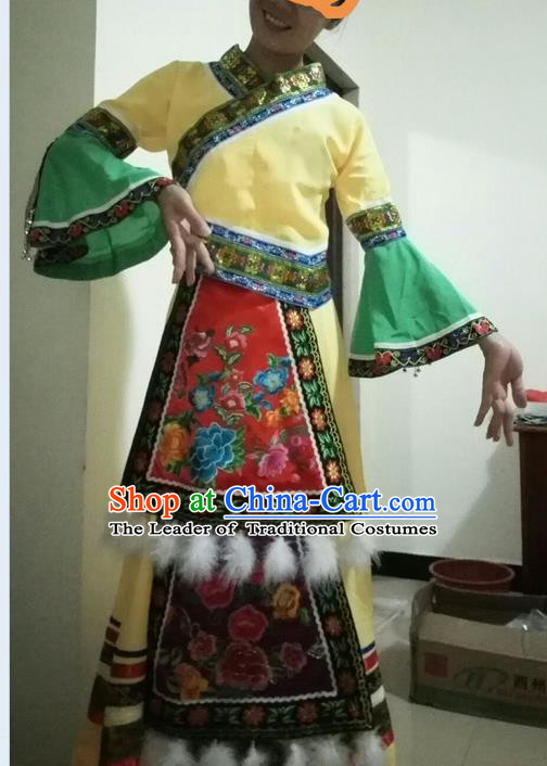Traditional Chinese Miao Nationality Dancing Costume, Hmong Female Folk Dance Ethnic Pleated Skirt, Chinese Minority Nationality Embroidery Costume for Women
