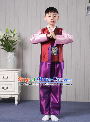 Korean Traditional Dress for Children Boy Clothes Kid Costumes Stage Show Dancing Red Top Purple Pants