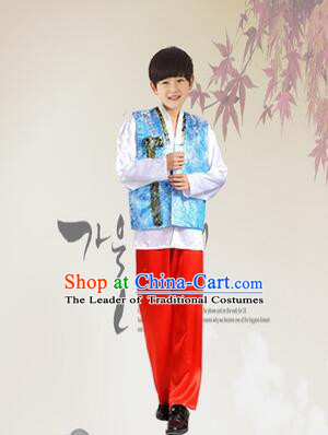 Korean Dress for Boys Teenagers Clothes Stage Costume Formal Dress Full Attire Show Blue