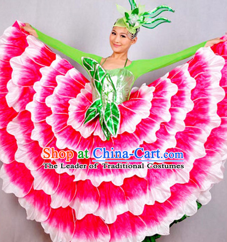 Chinese Classicial Flower Dancing Costumes Dancewear and Headpieces Complete Set for Women