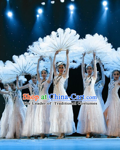 Chinese Traditional Snowflower Dance Costumes Complete Set for Women or Gilrs