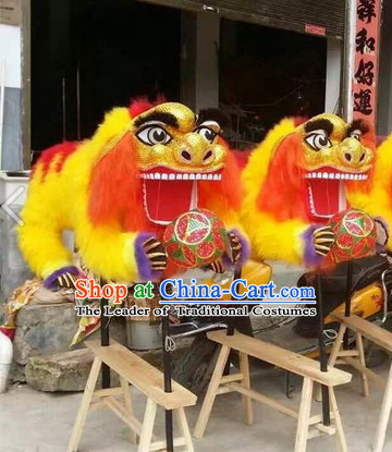 Two Persons Holding Lion Dance Props Costumes for Display or Collections