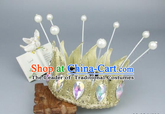 Top Performance Catwalks Headwear Halloween Cosplay Hair Accessories Mask headpiece