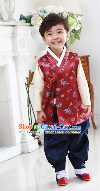 Asian Korean National Traditional Handmade Formal Occasions Embroidered Thronfolger Costume Wedding Red Hanbok Clothing for Boys