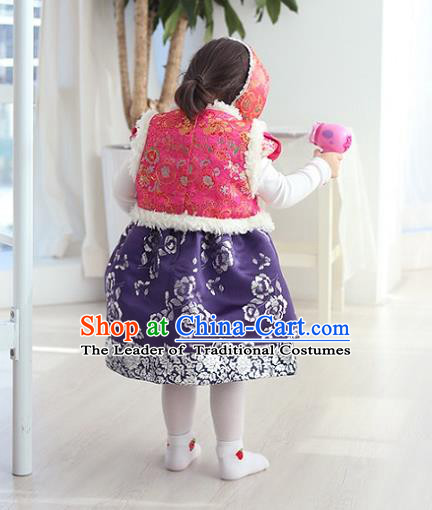 Traditional Korean Hanbok Clothing Fashion Apparel Hanbok Costume and Headwear