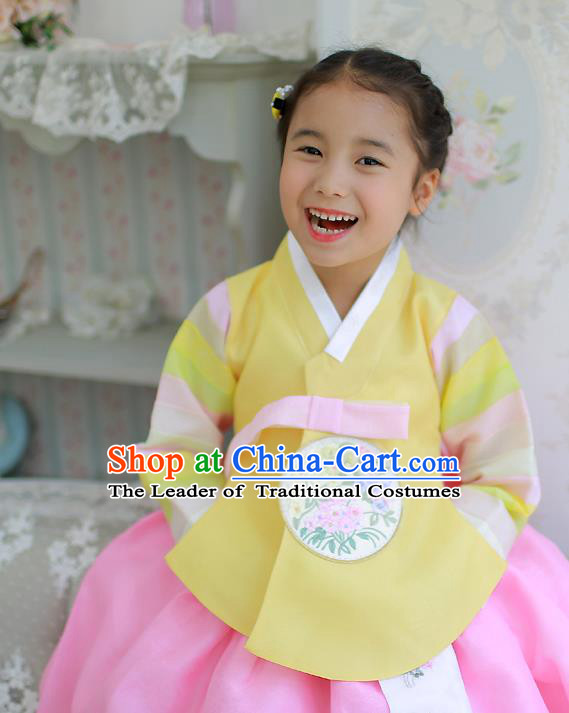 Traditional Korean Hanbok Clothing Fashion Apparel Hanbok Costume and Headwear