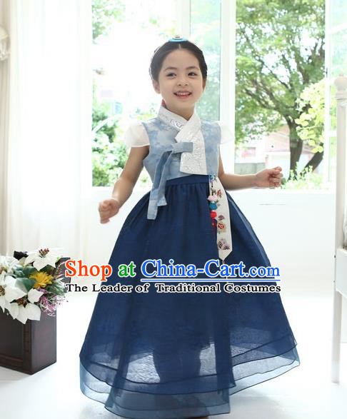 Asian Korean National Handmade Formal Occasions Wedding Bride Clothing Embroidered Blue Blouse and Dress Palace Hanbok Costume for Kids