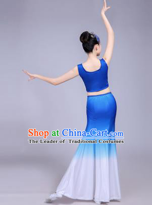 Traditional Chinese Yangge Fan Dancing Costume Classical Dance Modern Dance Dress Clothing