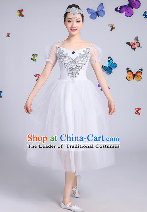 Traditional Chinese Modern Dance Opening Dance Clothing Chorus White Veil Dress Costume for Women