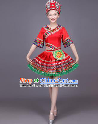 Traditional Chinese Miao Nationality Dance Costume, Hmong Female Folk Dance Ethnic Pleated Skirt, Chinese Minority Nationality Embroidery Red Dress for Women
