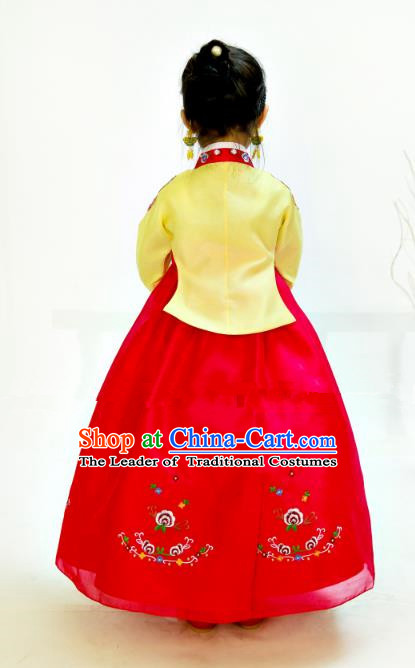 Traditional Korean Hanbok Clothing Fashion Apparel Hanbok Costumes