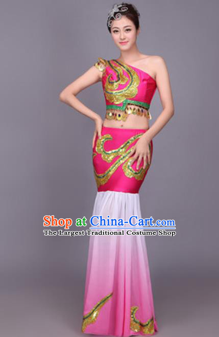 Traditional Chinese Fan Dance Folk Dance Costume Classical Yangko Dance Classical Dance Dress