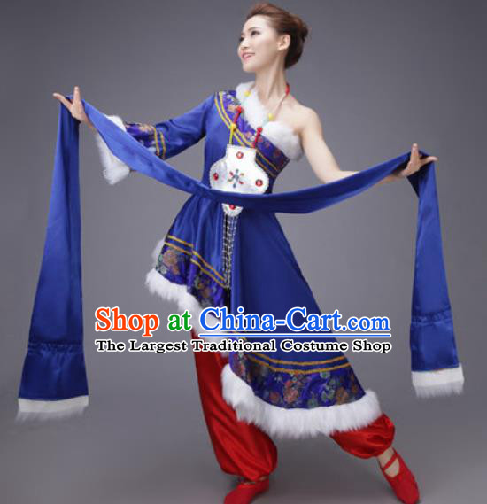 Chinese Traditional Zang Nationality Dance Costume Tibetan Folk Dance Ethnic Royalblue Dress for Women