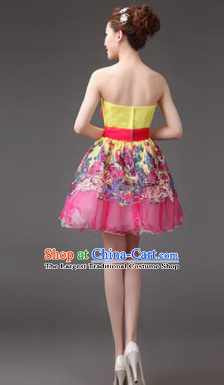 Traditional Chinese Fan Dance Folk Dance Costume Classical Yangko Dance Classical Dance Dress