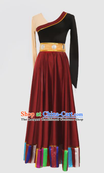 Chinese Tibetan Ethnic Minority Purplish Red Dress Traditional Zang Nationality Folk Dance Costume for Women