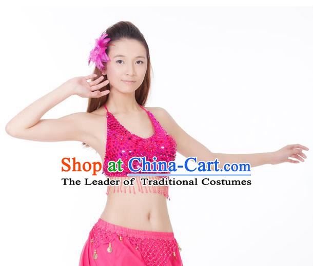 Top Indian Bollywood Belly Dance Costume Oriental Dance Rosy Paillette Brassiere for Women