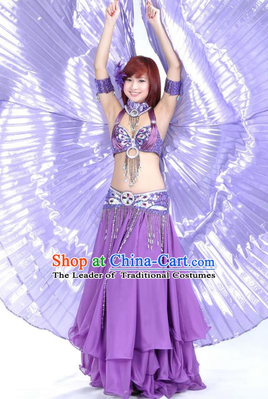 Indian Bollywood Belly Dance Purple Dress Clothing Asian India Oriental Dance Costume for Women