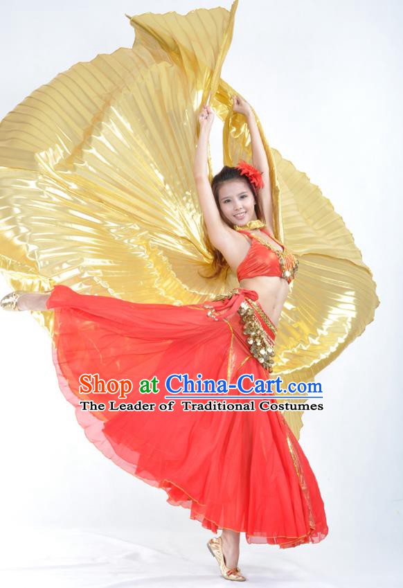 Traditional Asian Indian Belly Dance Costume Stage Performance India National Dance Dress Accessories Belts for Women