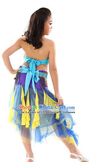 Traditional Asian Indian Belly Dance Costume Stage Performance India National Dance Dress Accessories Belts for Women