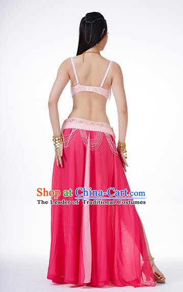 Traditional Asian Indian Belly Dance Costume Stage Performance India National Dance Dress Accessories Belts for Women