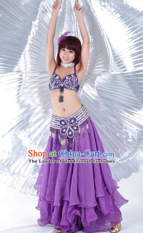 Indian Belly Dance Stage Performance Costume, India Oriental Dance Purple Dress for Women