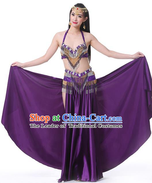 Traditional Asian Indian Belly Dance Costume Stage Performance India National Dance Dress Accessories Belts for Women