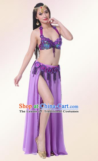 Indian Oriental Belly Dance Performance Purple Dress Traditional Raks Sharki Dance Costume for Women