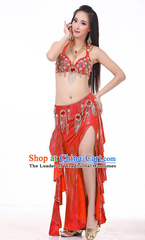 Top Indian Belly Dance Red Dress India Traditional Raks Sharki Oriental Dance Performance Costume for Women