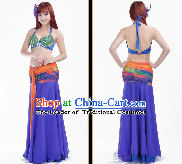 Traditional Asian Indian Belly Dance Costume Stage Performance India National Dance Dress Accessories Belts for Women