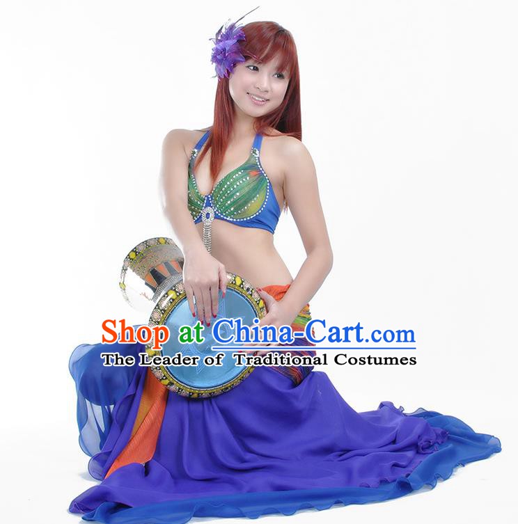 Traditional Asian Indian Belly Dance Costume Stage Performance India National Dance Dress Accessories Belts for Women