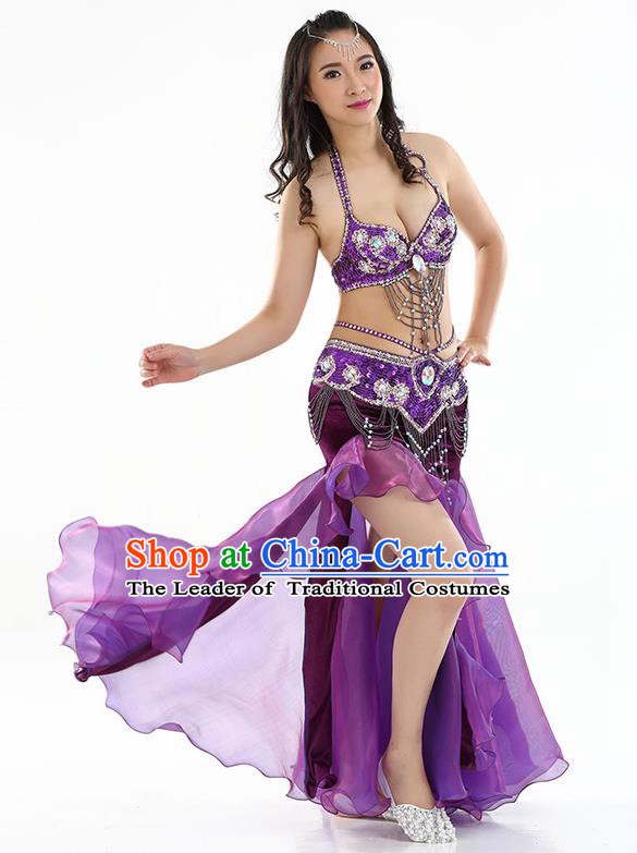 Top Indian Belly Dance India Traditional Raks Sharki Purple Dress Oriental Dance Costume for Women