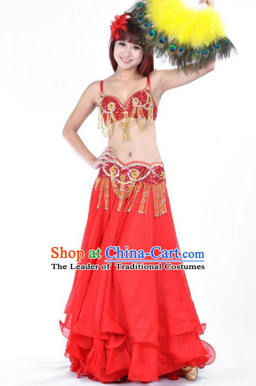 Traditional Asian Indian Belly Dance Costume Stage Performance India National Dance Dress Accessories Belts for Women