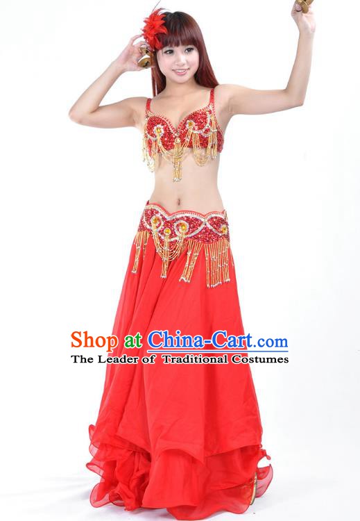 Traditional Asian Indian Belly Dance Costume Stage Performance India National Dance Dress Accessories Belts for Women