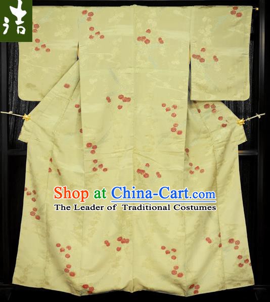 Traditional Asian Japan Clothing Japanese Fashion Apparel Kimono Costume