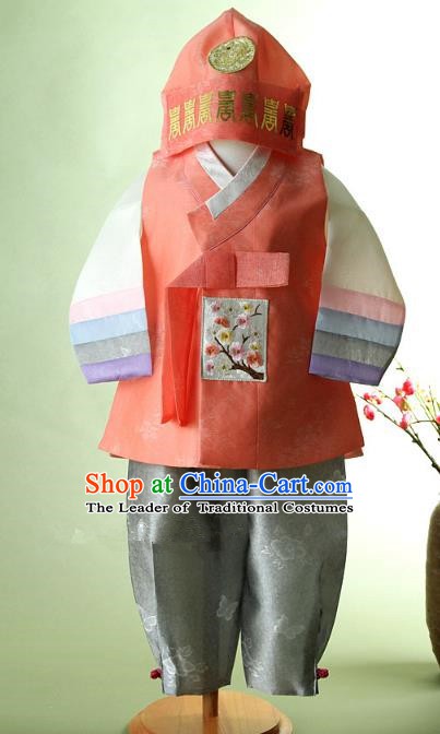 Korean Traditional Hanbok Clothing Korean Boys Hanbok Costumes for Kids